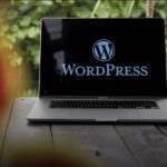 como saber que versión de wordpress tengo