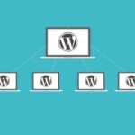 wordpress multisite